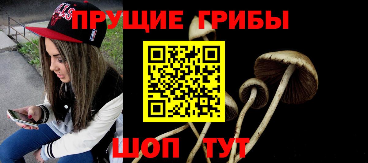 Владикавказ  Псилоцибиновые грибы мухоморы  Вход с VPN 