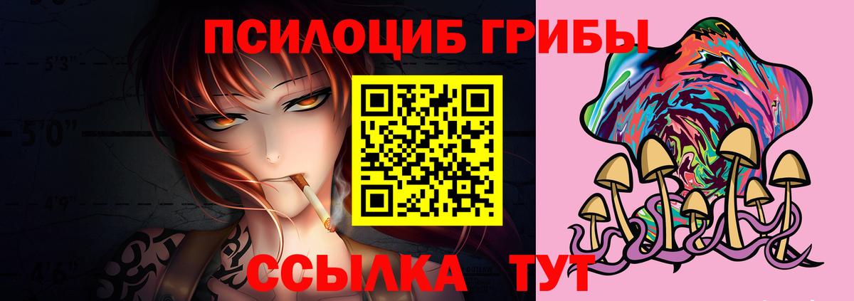 Псилоцибиновые грибы мицелий Владикавказ